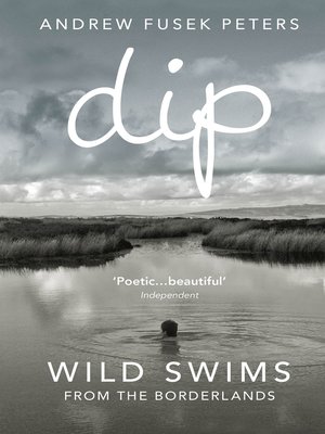 cover image of Dip